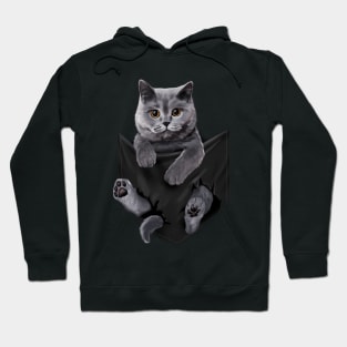 British Grey Cat In Pockets Cats Hoodie